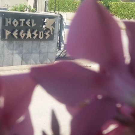 Pegasus Hotel ฮานิโอติ ภายนอก รูปภาพ